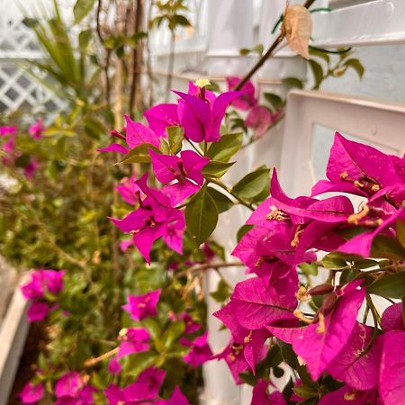 Vele Bianche Cosy Home Con Terrazza Поліньяно-а-Маре Екстер'єр фото